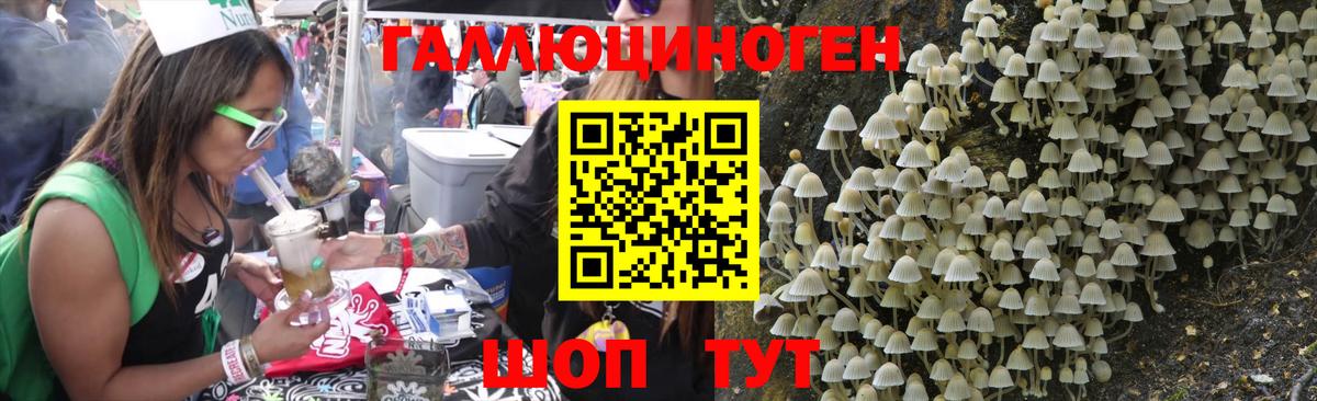 Псилоцибиновые грибы Psilocybine cubensis Армавир