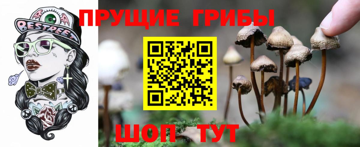 Галлюциногенные грибы прущие грибы  Галлюциногенные грибы мицелий  Армавир  Вход с VPN 