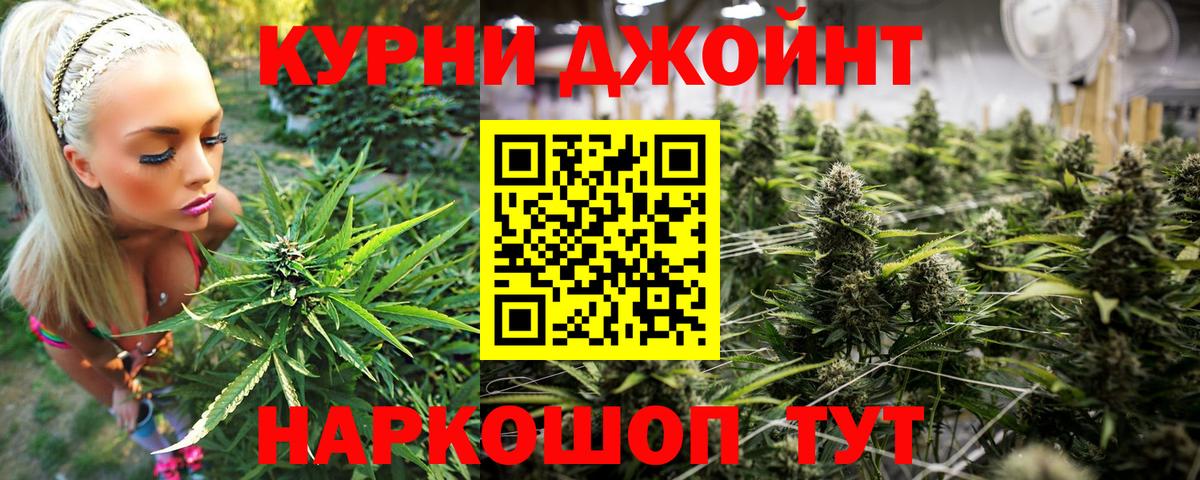 Канабис OG Kush Армавир